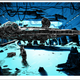 Illustration for article titled Own The Locations From Your Favorite Movies, As Posters